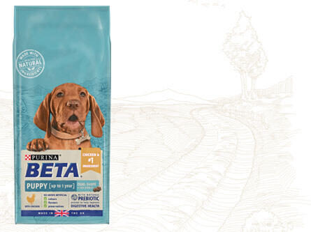 The range shop beta dog food